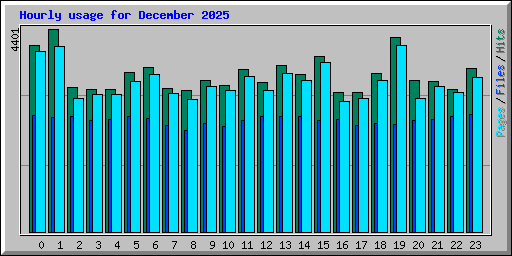 Hourly usage for December 2025