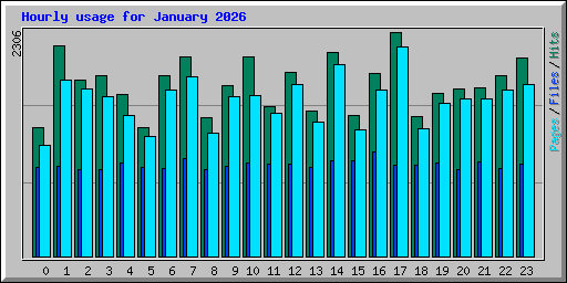 Hourly usage for January 2026